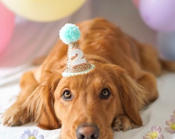 Mini Dog Birthday Hat, Glittery Birthday Girl Party Hat | Birthday | Cake Smash | 1st Birthday | Dog Birthday | Ready to Ship