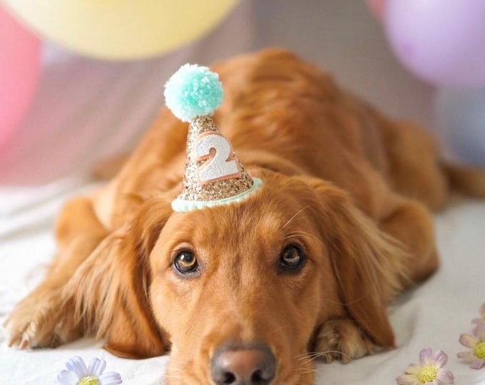 Mini Dog Birthday Hat, Glittery Birthday Girl Party Hat | Birthday | Cake Smash | 1st Birthday | Dog Birthday | Ready to Ship