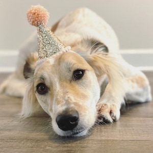 Mini Party Hat | Puppy Party Hat | Birthday Hat | First Birthday Hat | 2nd Birthday Hat | Peach and Gold Birthday Hat | Gold Birthday Hat