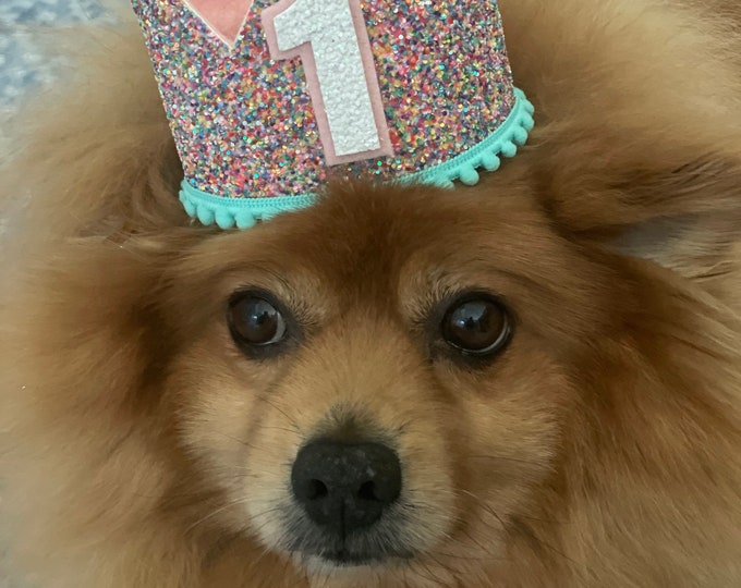 Dog Birthday Crown || Dog Birthday Girl || Dog Birthday Party Hat ||  dog Birthday crown || 1st Birthday || Birthday Crown ||