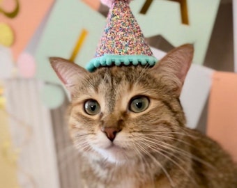 Chapeau d'anniversaire de chat | Chapeau de fête pour animal de compagnie | Anniversaire de chiot | Premier anniversaire | Premier anniversaire du chiot | Décoration de fête d'anniversaire, anniversaire