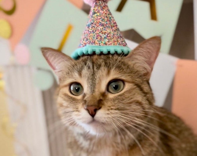 Cat Birthday Hat| Pet Party Hat | Puppy Birthday | First Birthday | Puppy first Birthday | Birthday Party Decor ,Birthday