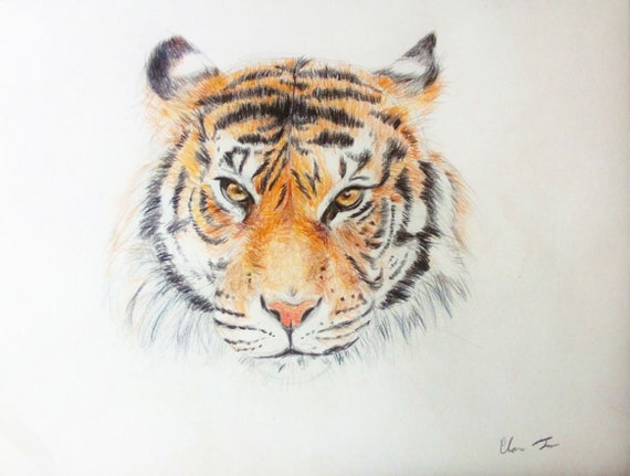 Items similar to Colored Pencil Drawing Tiger Original Animal Art on Etsy