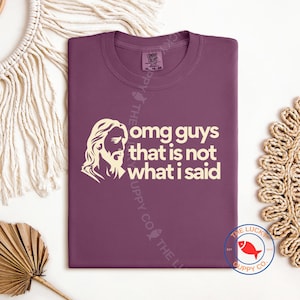 OMG Guys That is Not What I Said Unisex TShirt, Progressive Christian Gift, Jesus Would be Flipping Tables, Disappointments all of You Shirt