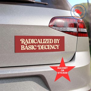 May include: A rectangular maroon magnet or sticker with the text "RADICALIZED BY BASIC DECENCY" in a cream-colored font. A red star-shaped sticker with the words "MAGNET OR STICKER" is also visible. The Lucky Fish Co. logo is in the upper right corner.