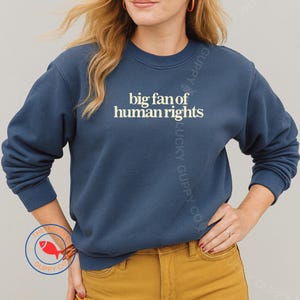 Big Fan of Human Rights Minimalist Unisex Sweatshirt, Defend Equality, Just Be Kind, Social Justice Shirt, All Are Welcome Here, Pro DEI