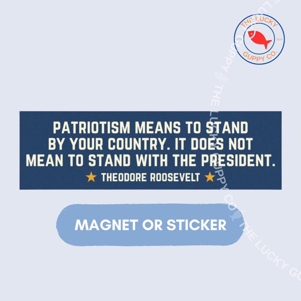 patriotism means to stand by your country, the power of the people is greater, hands off our rights, pro usa anti trump car magnet, FDT sign