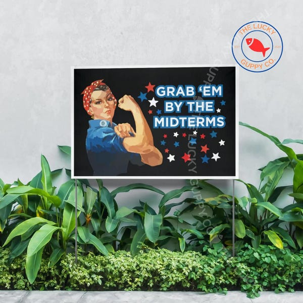 Placa de vinil para jardim "Pegue-os até as eleições de meio de mandato", Onda Azul 2026, Bandeira de Voto Democrata