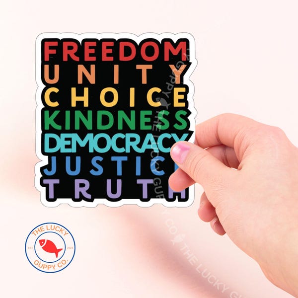 Subtle FDT Rainbow Die Cut Sticker, No Kings In America, Big Fan of Human Rights, Anti Trump Sticker, Liberal Sticker, Equality is Not Pie