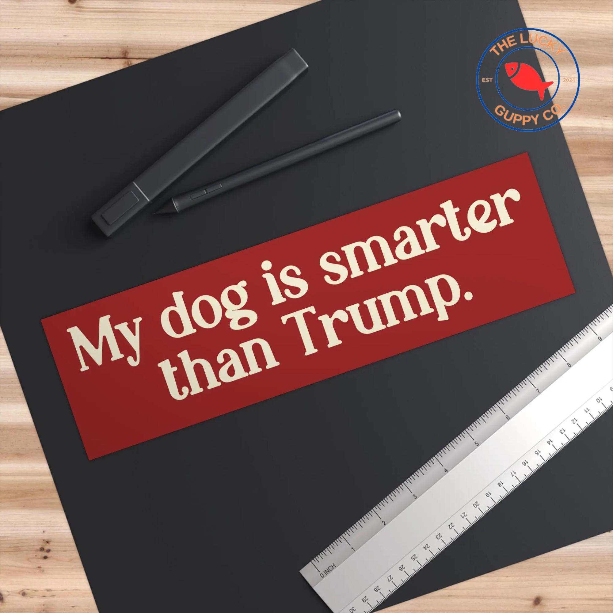 Discover My Dog Is Smarter Than Trump Bumper Sticker