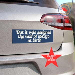 Gulf of Mexico At Birth Bumper Sticker or Car Magnet