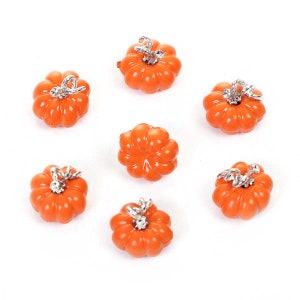 May include: Seven small orange pumpkins with silver stems. The pumpkins are arranged in a circle on a white background.