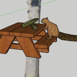 Squirrel Picnic Table Feeder PDF Printable Woodworking Plans