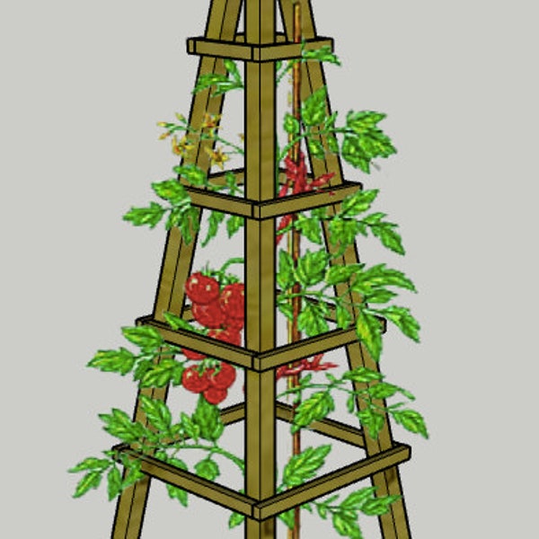 Tomato cage garden veggie trellis PDF Printable Woodworking Plans