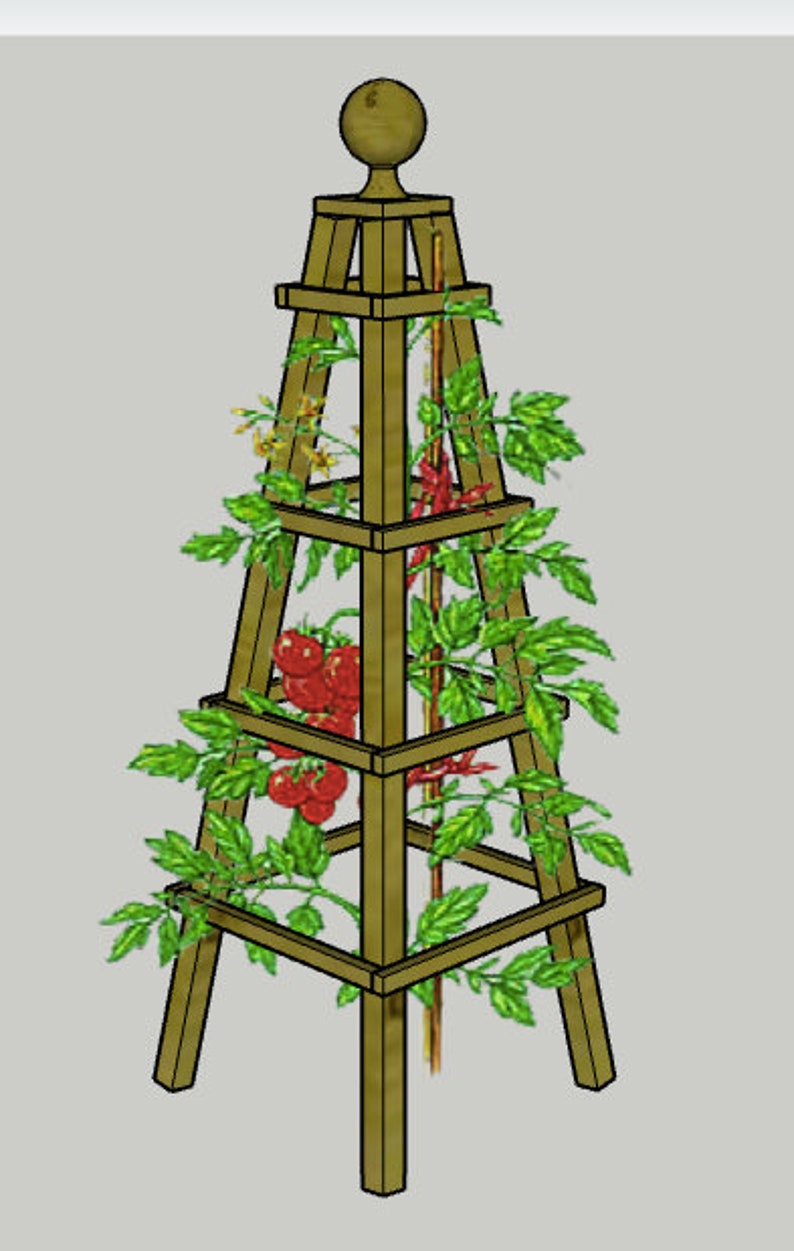 May include: A wooden tomato cage with a pyramid shape and a rounded top finial. The cage is made of brown wood and has four legs. The cage is covered in green leaves and red tomatoes.