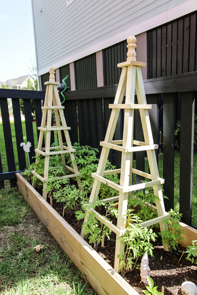 May include: Two wooden garden trellises with a light brown finish, supporting tomato plants in a raised garden bed. The trellises are made of square wooden slats and have a pointed top.