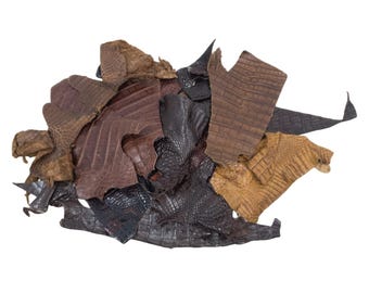 Caiman Crocodile Leather Scraps – 1–2 oz Mixed Color Reptile Remnants for Crafts