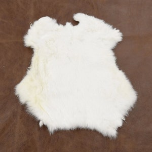 Rabbit Pelt / Natural Colors / off White / Singles or 6 Pack / - Etsy