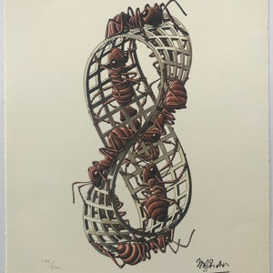 M.C. Escher, litografia, opera d'arte in edizione limitata