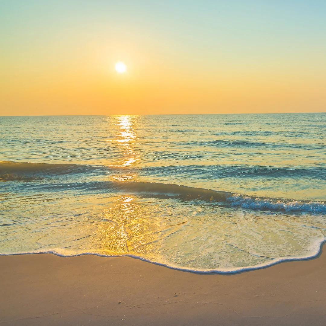 Sun & Sand Type Fragrance Oil For Candle/Soap Making Free Shipping