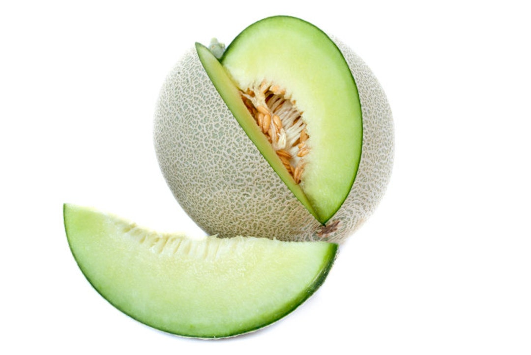 1 16 Ounce Honeydew Melon Fragrance Oil for Candle/soap Etsy