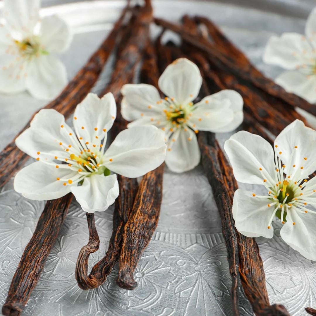Vanilla Showers Type Fragrance Oil For Candle/Soap Making Free Shipping