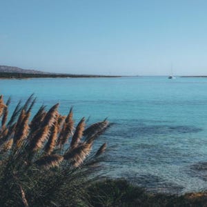 Seagrass & Sage Fragrance Oil for candle/soap making Free Shipping