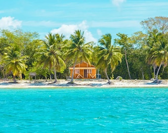 Caribbean Escape Fragrance Oil for candle/soap making Free Shipping