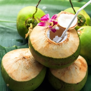 Tropical Treat Fragrance Oil for candle/soap making Free Shipping