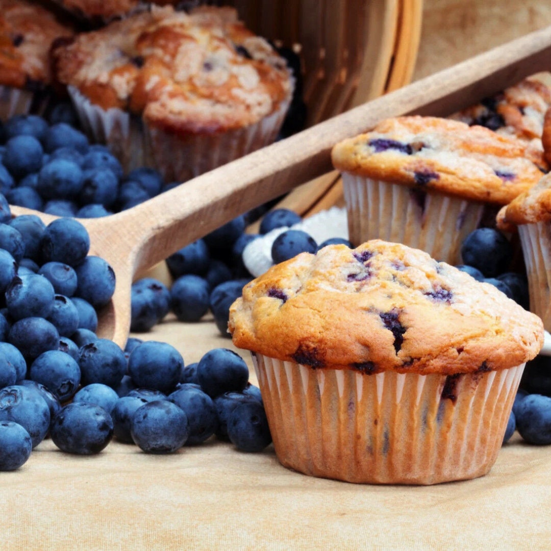 Blueberry Muffin By Peak® Type Fragrance Oil For Candle/Soap Making Free Shipping