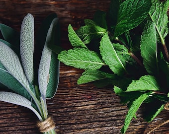 Purple Sage and Mint Leaf Fragrance Oil for candle/soap making Free Shipping