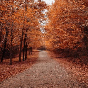 The Perfect Autumn Type Fragrance Oil for candle/soap making Free Shipping