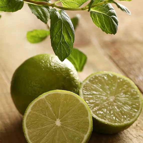 Bergamot Tobacco Type Fragrance Oil for candle/soap making Free Shipping