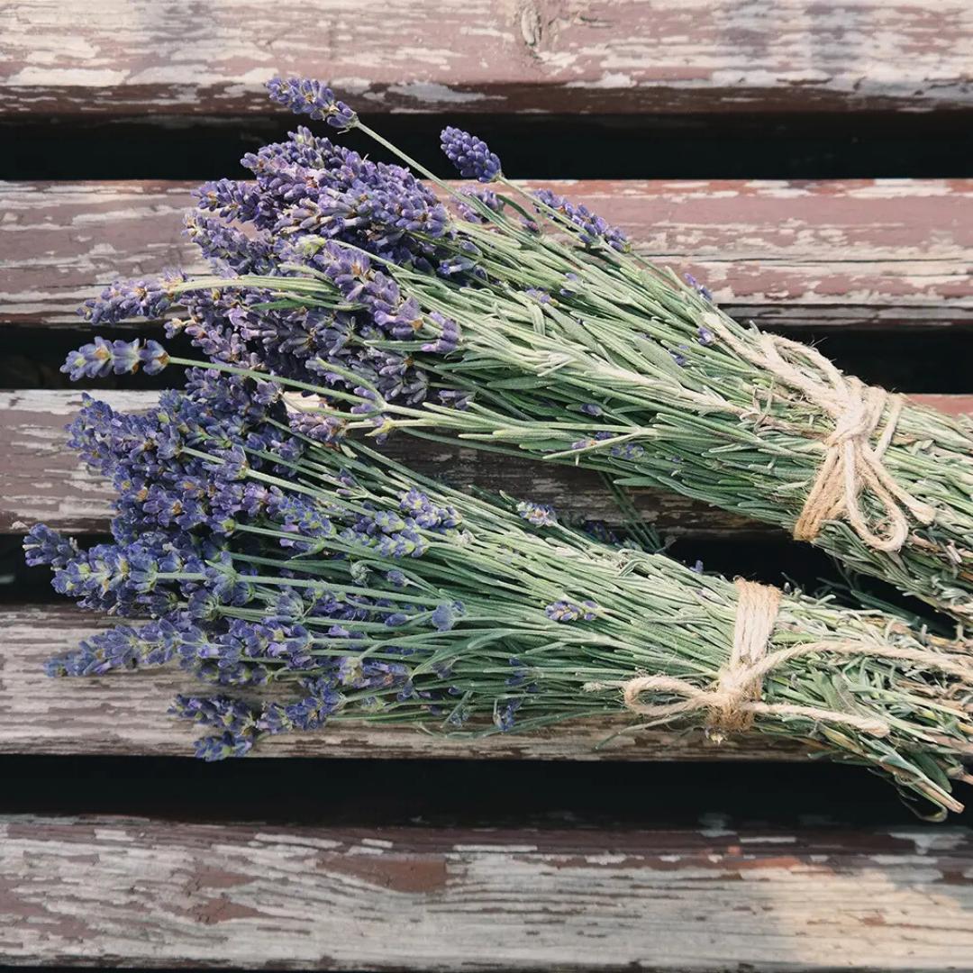 Lavender Woods Fragrance Oil For Candle/Soap Making Free Shipping
