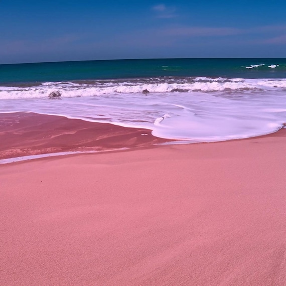 Pink Sands Type Fragrance Oil for candle/soap making Free Shipping