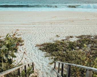 Wood Sage & Sea Salt Type Fragrance Oil for candle/soap making Free Shipping