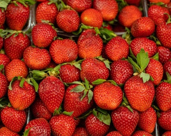 Strawberry Patch Fragrance Oil for candle/soap making Free Shipping