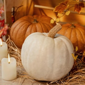 Spiced Pumpkin and Patchouli Type Fragrance Oil for candle/soap making Free Shipping