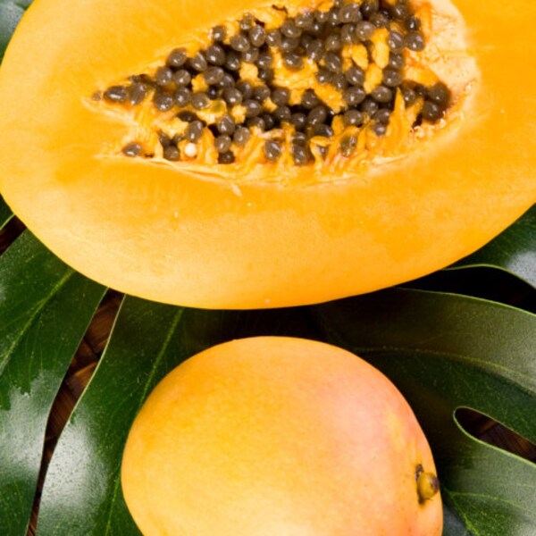 1- 16 Ounce Mango Papaya Fragrance Oil for candle/soap making Free Shipping