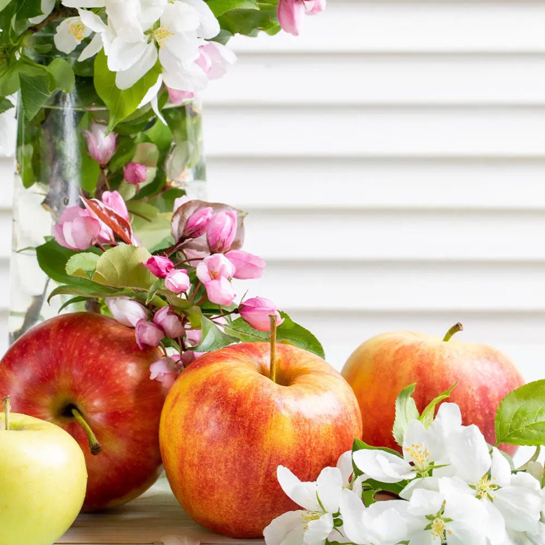 Botanical Orchard & Nectar Type Fragrance Oil For Candle/Soap Making Free Shipping