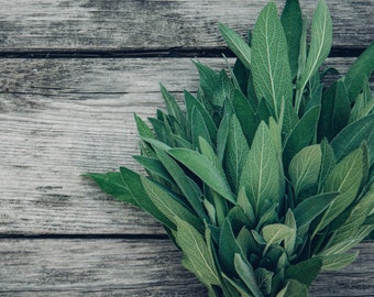 Sandalwood & Blue Sage Fragrance Oil for candle/soap making Free Shipping