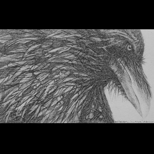 RAVEN III &quot;Maestro&quot; Monochromatic Print of Original Pencil Drawing by Karen Lorraine