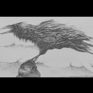 RAVEN IV &quot;Sentinel&quot; Monochromatic Print of Original Pencil Drawing by Karen Lorraine