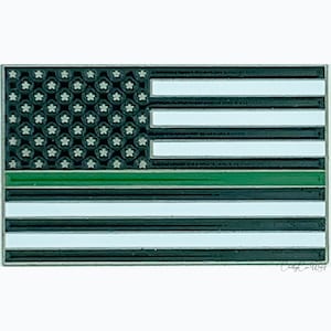 Pode incluir: Uma bandeira americana preta e branca com uma faixa verde no meio. A bandeira &eacute; feita de metal e tem um acabamento brilhante.