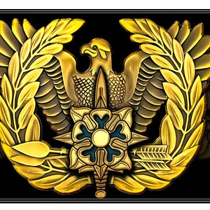 3 x 5  Warrant Officer Intel Flag