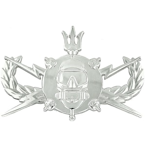 Puede incluir: Una insignia militar plateada con un casco de buceo, un tridente, rayos y una corona de laurel.