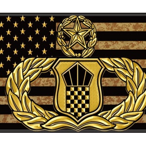 May include: A gold-colored Air Force Space Command badge with a wreath of leaves and a star on a black and brown camouflage American flag background.