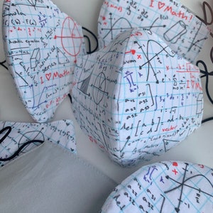 Geometry Homework Mask - Math Scribbles - Teacher Student School Professor University - Education Masks - Cotton Reusable