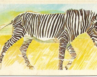 Endangered Species" ANDY WARHOL Pop Art Poster or Canvas Print "Grevy's Zebra Endangered Species" ANDY WARHOL Pop Art Poster or Canvas Print "Grevy's Zebra