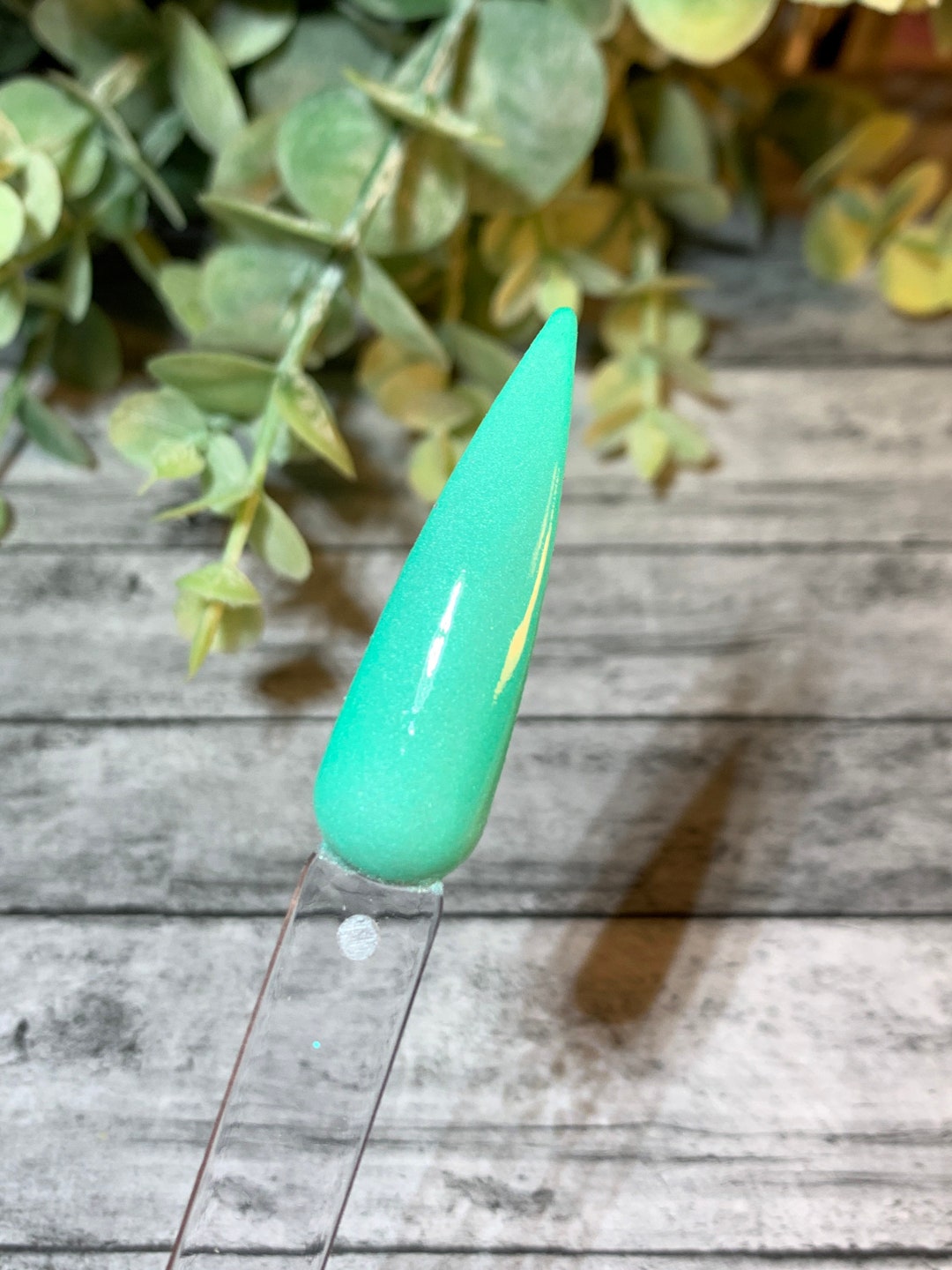 Minty Fresh Nail Dip Delight
